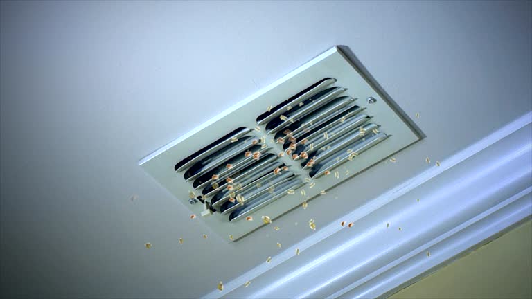 Best Emergency Air Duct Cleaning  in Erie, CO
